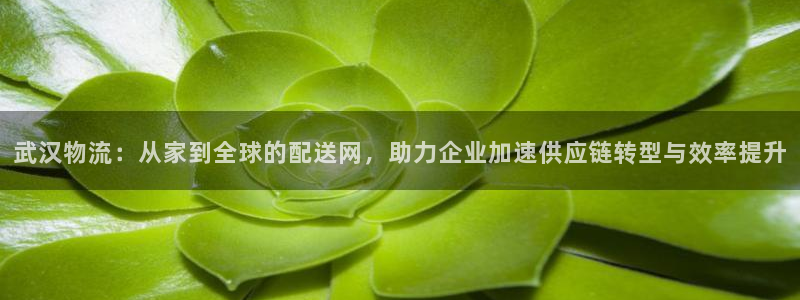 28圈注册网址：武汉物流：从家到全球