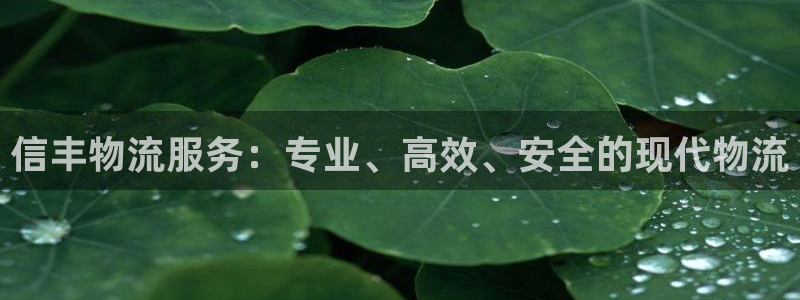 28圈可以退款吗：信丰物流服务：专业