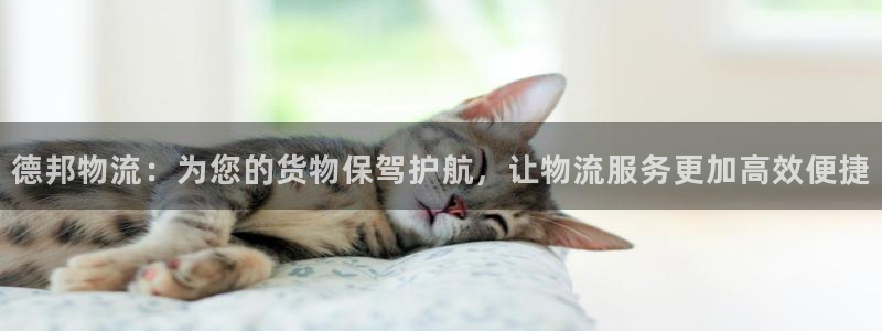 28圈是啥：德邦物流：为您的货物保驾