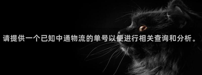 28圈登录用户名登录不上：请提供一个已知中通物流的单号以便进