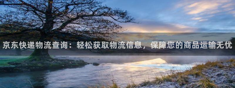 28圈系统自动保护：京东快递物流查询