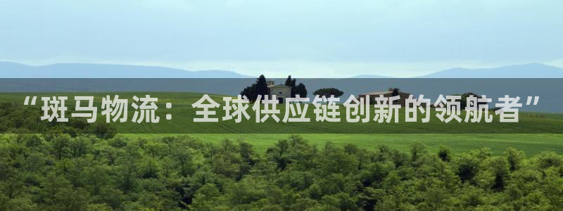 28圈下载二维码怎么弄：“斑马物流：