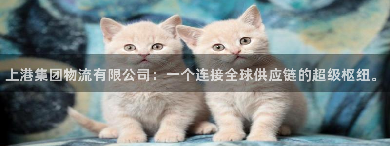 28圈反水：上港集团物流有限公司：一