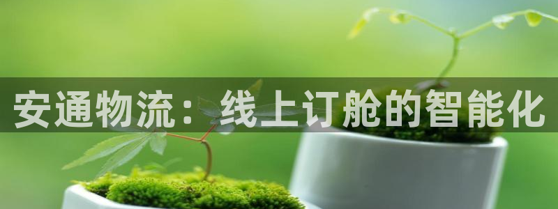 28圈加拿大模拟器：安通物流：线上订舱的智能化