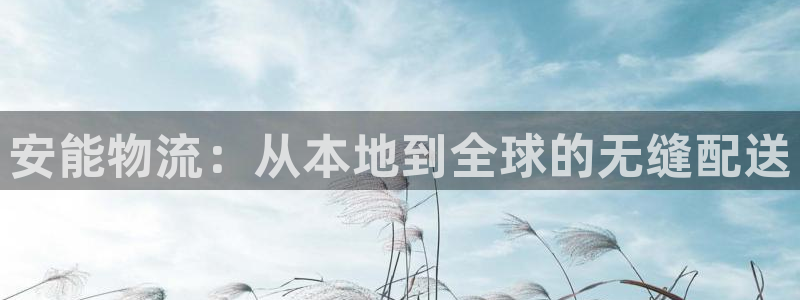 28圈怎么注册游戏名字：安能物流：从