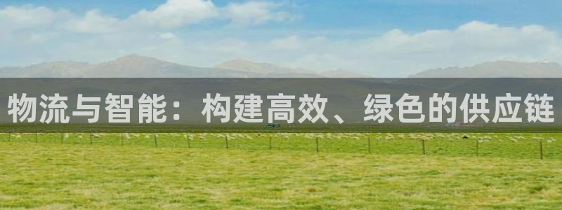 28圈代理落网