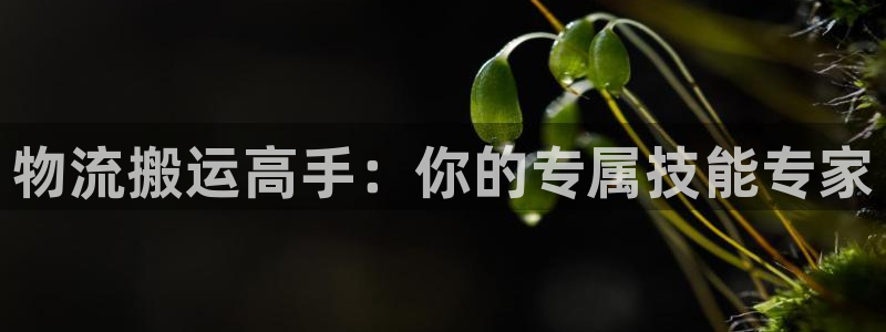 28圈流水怎么算：物流搬运高手：你的