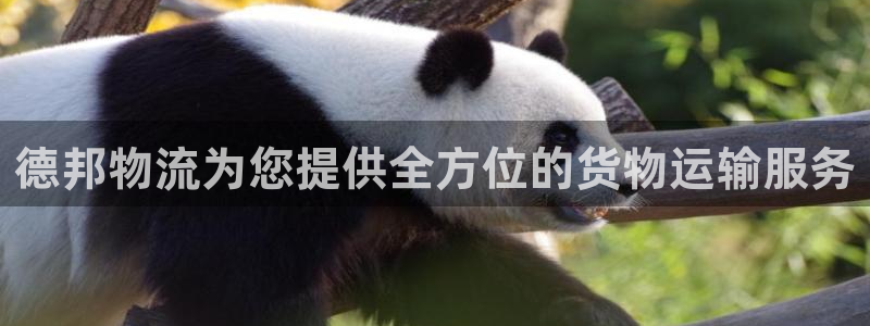 28圈注册网页：德邦物流为您提供全方