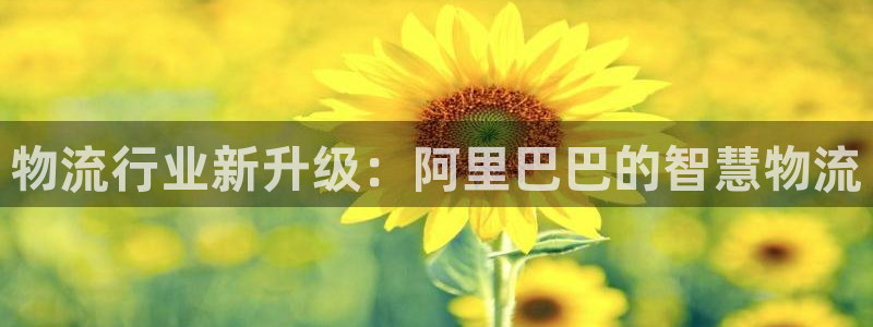 28圈登录不上咋回事：物流行业新升级