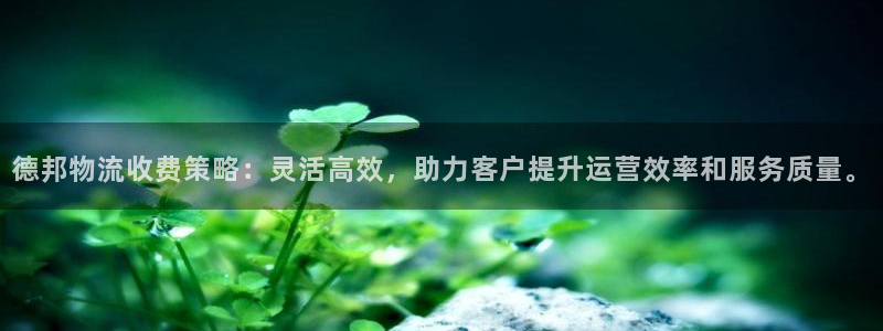 28圈里的财神