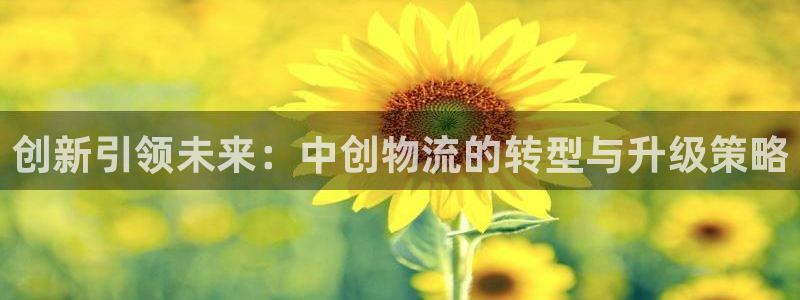 28圈pg如何退钱：创新引领未来：中创物流的转型与升级策略