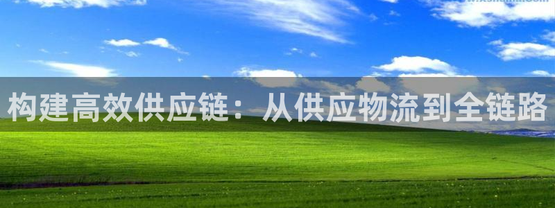 28圈：构建高效供应链：从供应物流到