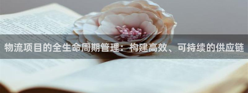 28圈取保
