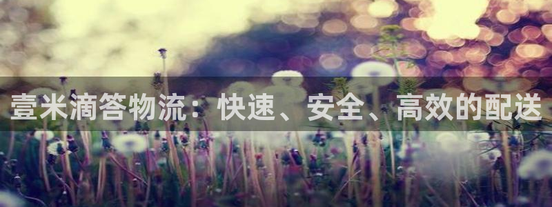 28圈如何看计划：壹米滴答物流：快速