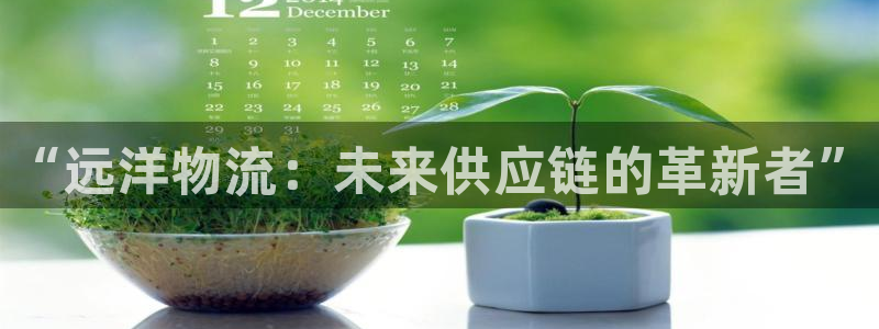 28圈怎么注册账号和密码：“远洋物流