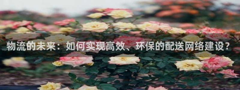 28圈p扣款什么意思