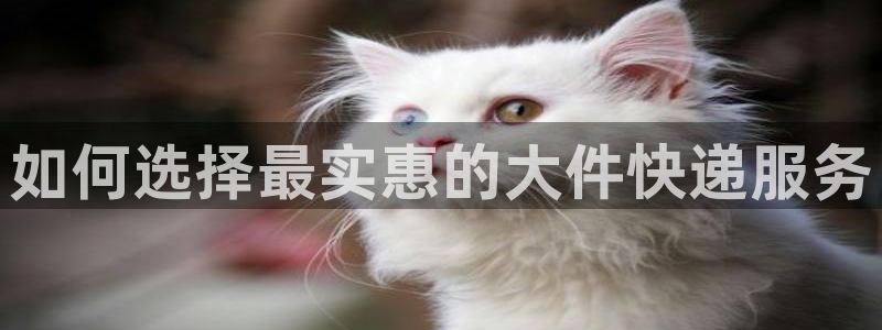 28圈注册：如何选择最实惠的大件快递