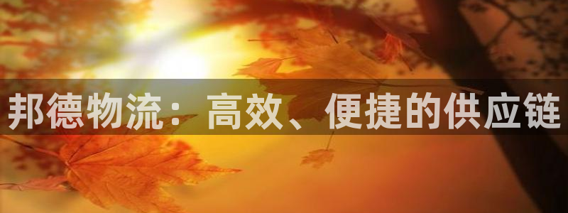 28圈ip被限制怎么解决