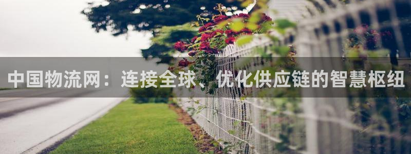 28圈注册网站链接：中国物流网：连接