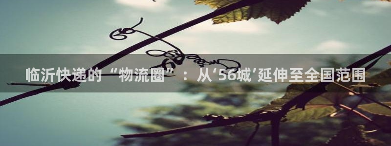 28圈登陆网