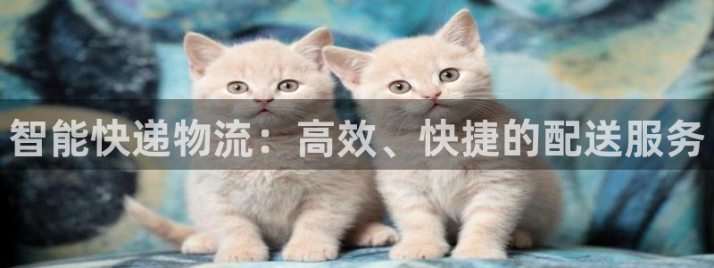 28圈麻将胡了爆分视频：智能快递物流
