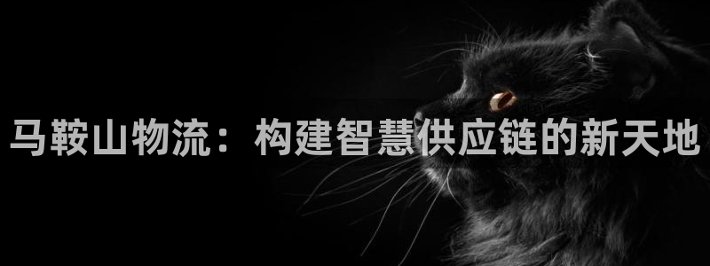 28圈官网开奖结果预测查询