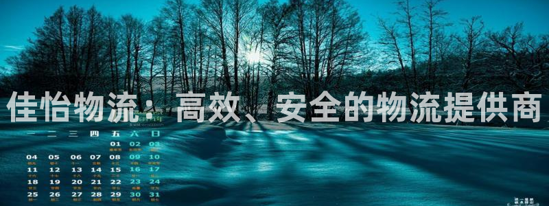 28圈可以退款吗：佳怡物流：高效、安