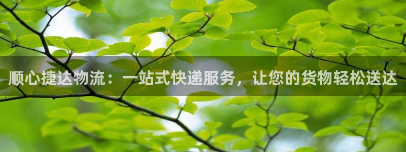 28圈自行车图片：顺心捷达物流：一站