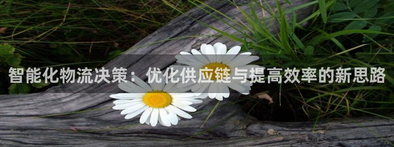28圈.ccm南宫：智能化物流决策：