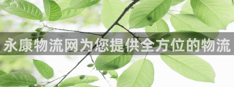 28圈预测加拿大师准