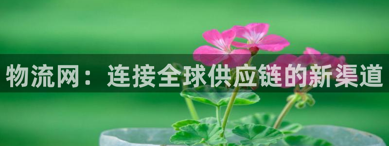 28圈哪个最赚钱：物流网：连接全球供