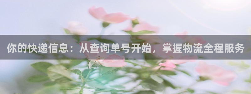 28圈官方版网站：你的快递信息：从查
