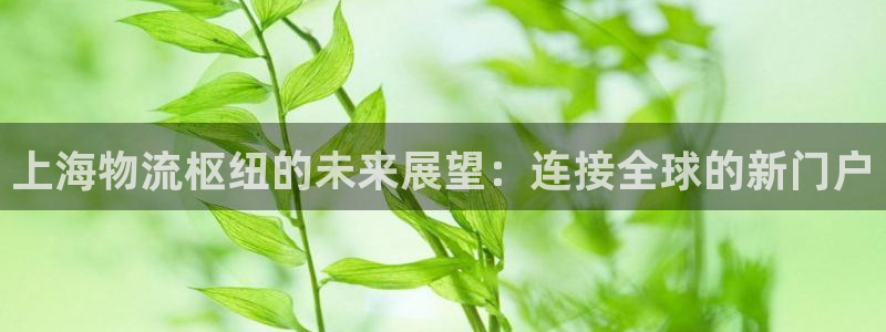 28圈登录：上海物流枢纽的未来展望：