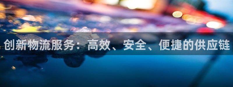 28圈官网版所有版本：创新物流服务：