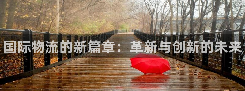28圈pg麻将胡了：国际物流的新篇章
