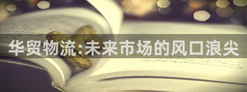 28圈加拿大模拟器：华贸物流:未来市