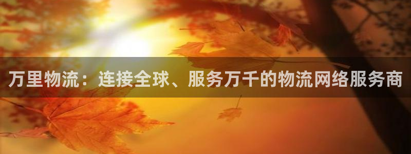 28圈注册链接：万里物流：连接全球、