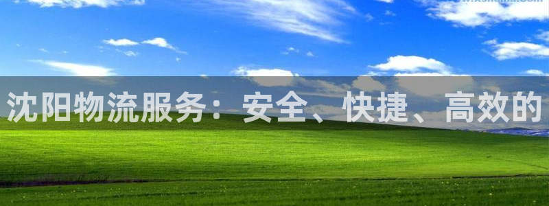 麻将128圈：沈阳物流服务：安全、快