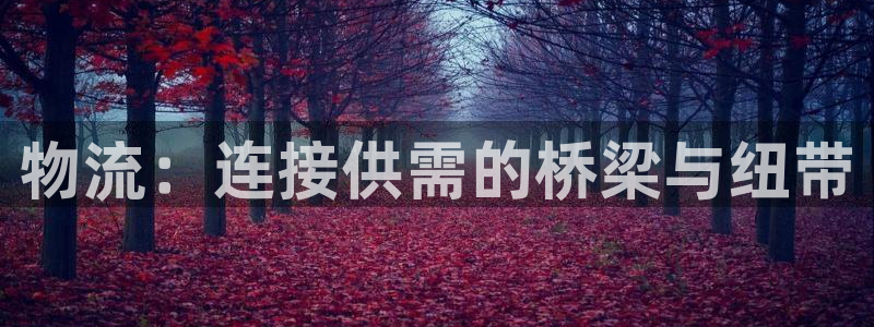 28圈下载二维码：物流：连接供需的桥
