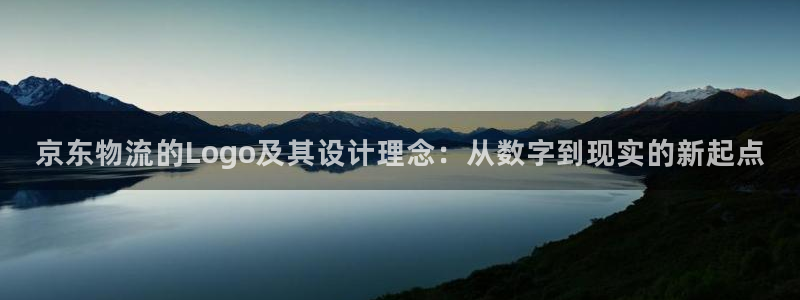 28圈注册网站多少钱：京东物流的Lo