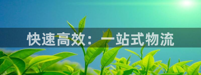 28圈官网开奖结果预测查询：快速高效