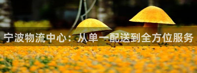 28圈注册网站多少钱：宁波物流中心：