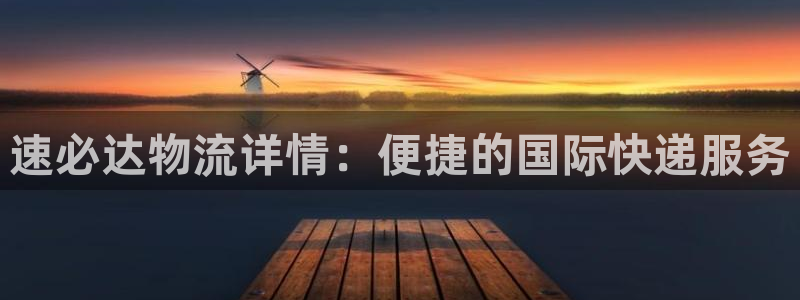 28圈返水怎么算的：速必达物流详情：