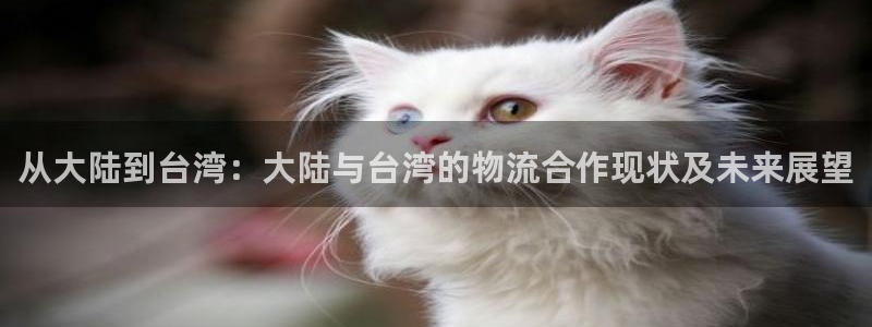 28圈女王中奖记录查询