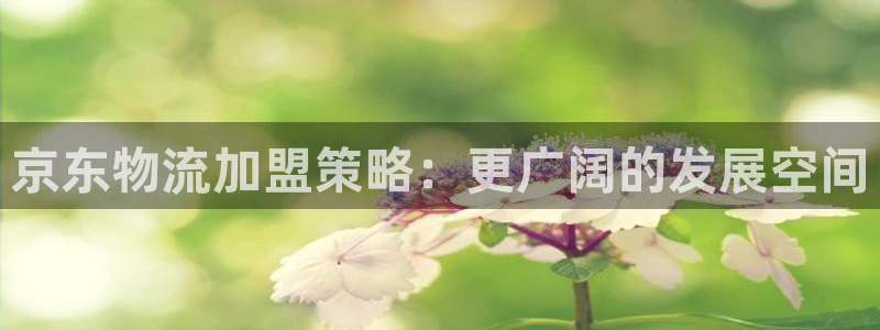 28圈是啥：京东物流加盟策略：更广阔