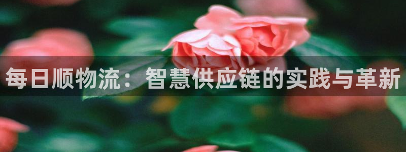 28圈怎么注册账号：每日顺物流：智慧