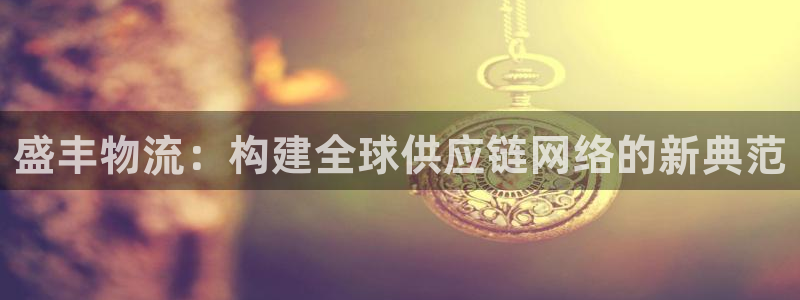 28圈可以退款吗：盛丰物流：构建全球