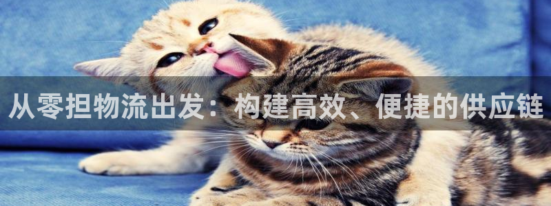 28圈链接是什么：从零担物流出发：构