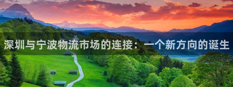 28圈现在狂杀：深圳与宁波物流市场的连接：一个新方向的诞生