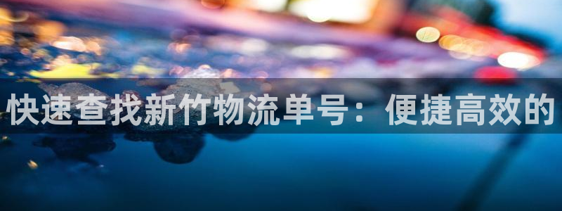 28圈官网多少：快速查找新竹物流单号